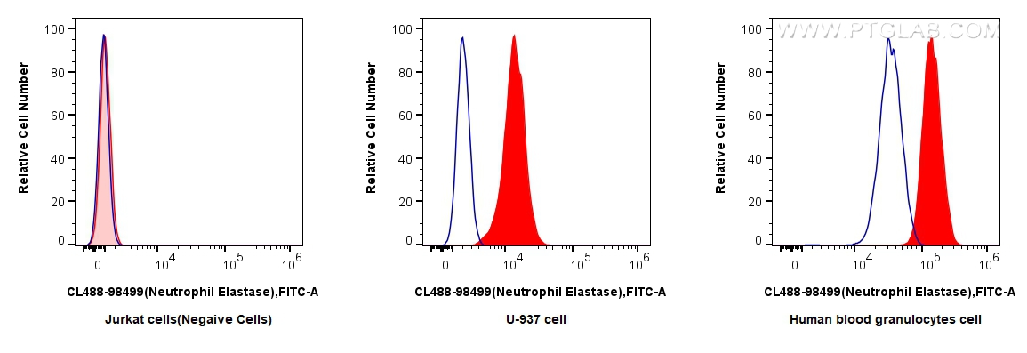 FC experiment of human blood granulocytes using CL488-98499 FC experiment of human blood granulocytes using CL488-98499