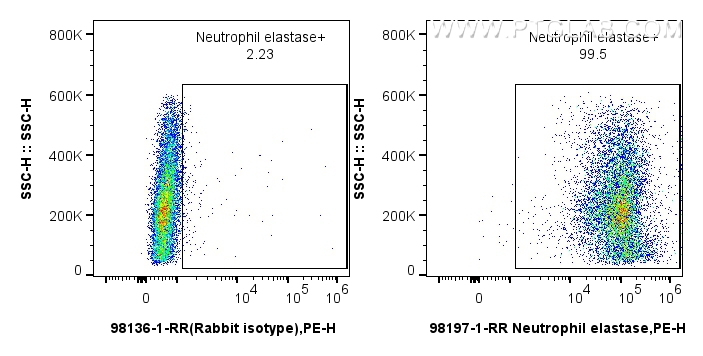 FC experiment of mouse bone marrow cells using 98197-1-RR (same clone as 98197-1-PBS)