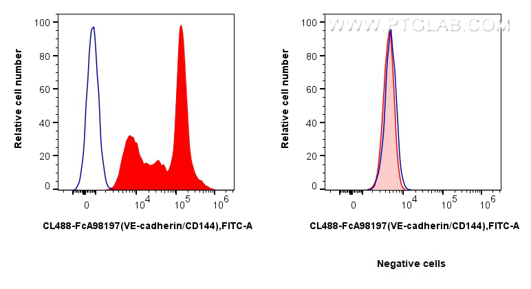 FC experiment of mouse bone marrow cells using CL488-FcA98197
