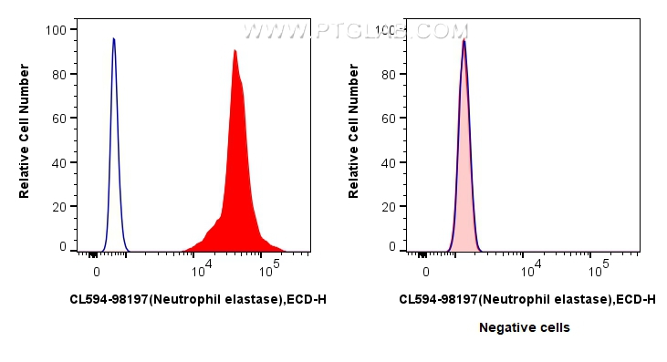 FC experiment of mouse bone marrow cells using CL594-98197