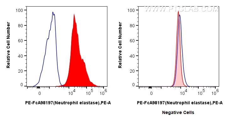 FC experiment of mouse bone marrow cells using PE-FcA98197