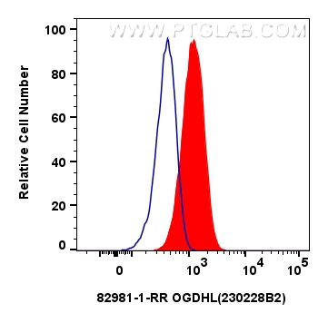 FC experiment of Caco-2 using 82981-1-RR