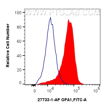 1x10^6 HeLa cells were intracellularly stained with 0.25 ug OPA1 Polyclonal antibody (27733-1-AP) and CoraLite®488-Conjugated Goat Anti-Rabbit IgG(H+L) (<a class='green' href='/productredirect?CatalogNo=SA00013-2' target='_blank'>SA00013-2</a>)(red), or 0.25 ug Isotype Control (blue). Cells were fixed and permeabilized with Intracellular Flow Cytometry Fixation & Permeabilization Buffer Kit (<a class='green' href='/productredirect?CatalogNo=PF00019' target='_blank'>PF00019</a>). FC experiment of HeLa using 27733-1-AP