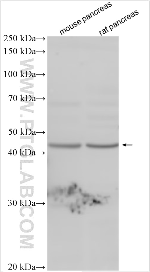 OPCML