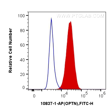 FC experiment of HeLa using 10837-1-AP