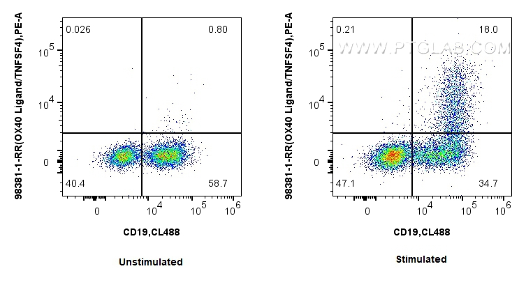 FC experiment of BALB/c  mouse splenocytes using 98381-1-RR (same clone as 98381-1-PBS)