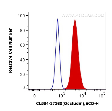 Occludin