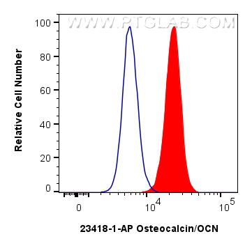 1x10^6 U2OS cells were intracellularly stained with 0.25 ug Osteocalcin/OCN Polyclonal antibody (23418-1-AP) and CoraLite®488-Conjugated Goat Anti-Rabbit IgG(H+L) (<a class='green' href='/productredirect?CatalogNo=SA00013-2' target='_blank'>SA00013-2</a>)(red), or 0.25 ug Isotype Control (blue). Cells were fixed with 4% PFA and permeabilized with Flow Cytometry Perm Buffer (<a class='green' href='/productredirect?CatalogNo=PF00017' target='_blank'>PF00017</a>). FC experiment of U2OS using 23418-1-AP