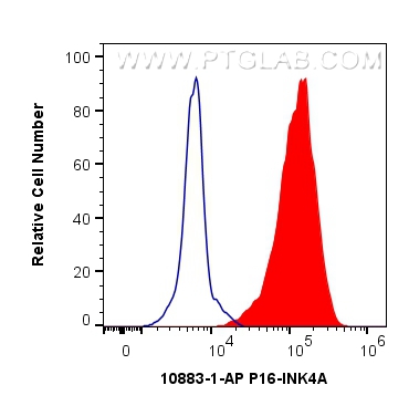 FC experiment of HeLa using 10883-1-AP