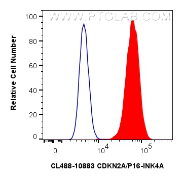 FC experiment of HeLa using CL488-10883