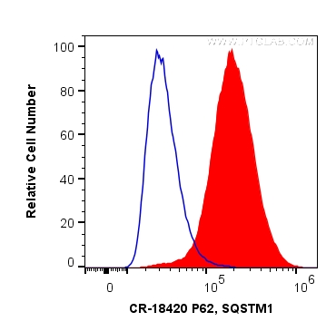 FC experiment of HeLa using CR-18420