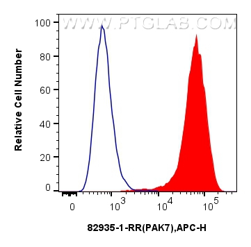 FC experiment of K-562 using 82935-1-RR (same clone as 82935-1-PBS)