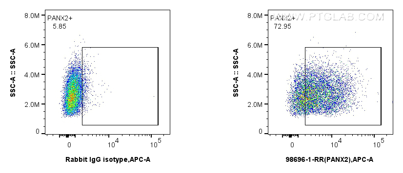 FC experiment of Caco-2 using 98696-1-RR (same clone as 98696-1-PBS)