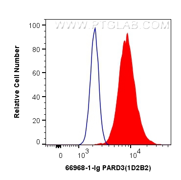 FC experiment of MCF-7 using 66968-1-Ig (same clone as 66968-1-PBS)