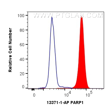 FC experiment of K-562 using 13371-1-AP