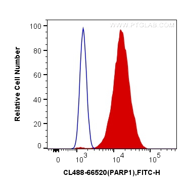 FC experiment of HeLa using CL488-66520