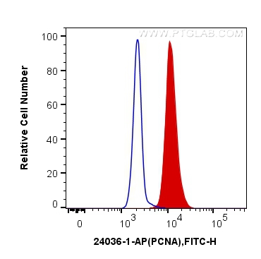 FC experiment of HeLa using 24036-1-AP