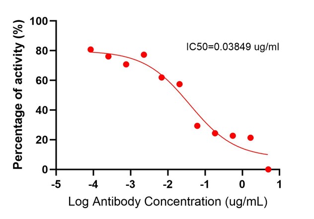 Inhibition assay of CD279 using 98080-1-RR by ELISA. Mouse PD-1 (Eg0986) was coated at 5 ug/mL. Serial diluted 98080-1-RR and 5 ug/ml biotin-labelled mouse PD-L1 was applied, and the binding signal of PD-L1 to PD-1 was detected by HRP-SA. Signal was developed by TMB substrate. The IC50 is 0.03849 ug/ml. Blocking experiment of Recombinant protein using 98080-1-RR