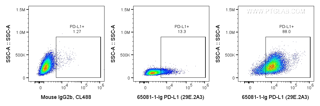 FC experiment of human PBMCs using 65081-1-Ig