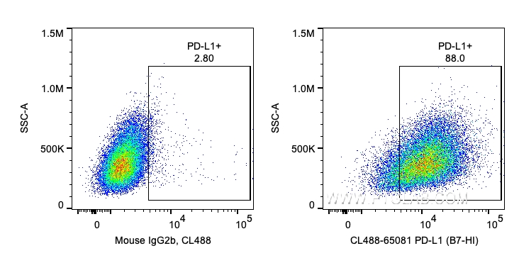 FC experiment of human PBMCs using CL488-65081