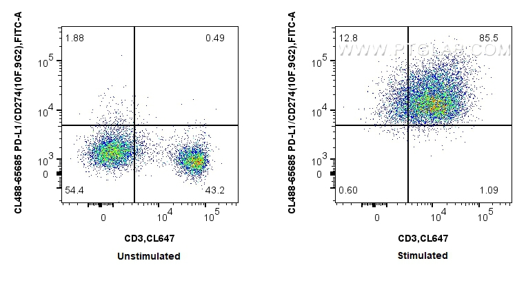 FC experiment of mouse splenocytes using CL488-65685 FC experiment of mouse splenocytes using CL488-65685