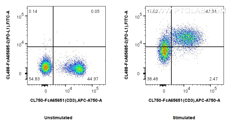 FC experiment of mouse splenocytes using CL488-FcA65685-2 FC experiment of mouse splenocytes using CL488-FcA65685-2