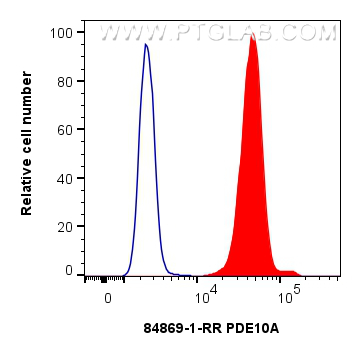 FC experiment of HeLa using 84869-1-RR (same clone as 84869-1-PBS)