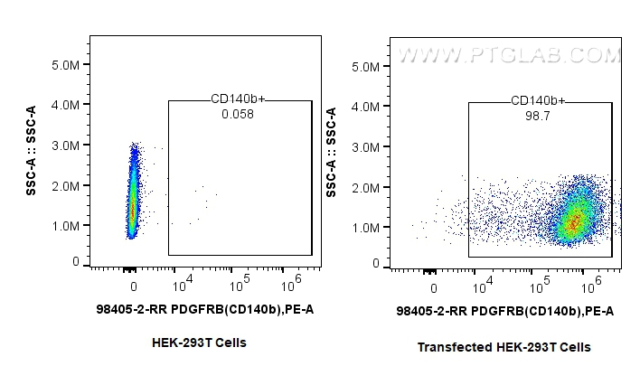 FC experiment of Transfected HEK-293T using 98405-2-RR