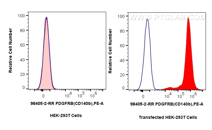FC experiment of Transfected HEK-293T using 98405-2-RR