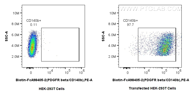 FC experiment of Transfected HEK-293T using Biotin-FcA98405-2