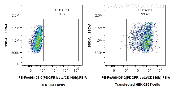 FC experiment of Transfected HEK-293T using PE-FcA98405-2 FC experiment of Transfected HEK-293T using PE-FcA98405-2