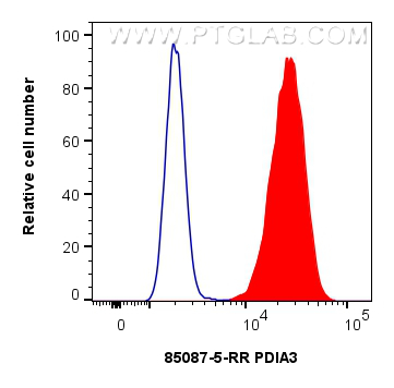 FC experiment of HeLa using 85087-5-RR (same clone as 85087-5-PBS)