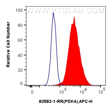 FC experiment of HeLa using 83583-1-RR (same clone as 83583-1-PBS)