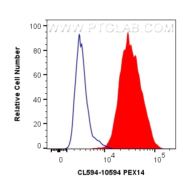 FC experiment of HeLa using CL594-10594