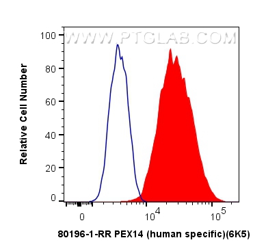 FC experiment of HeLa using 80196-1-RR (same clone as 80196-1-PBS)