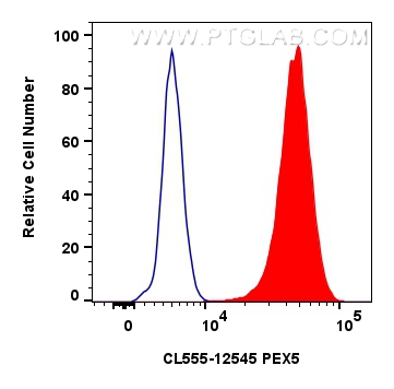 FC experiment of HeLa using CL555-12545