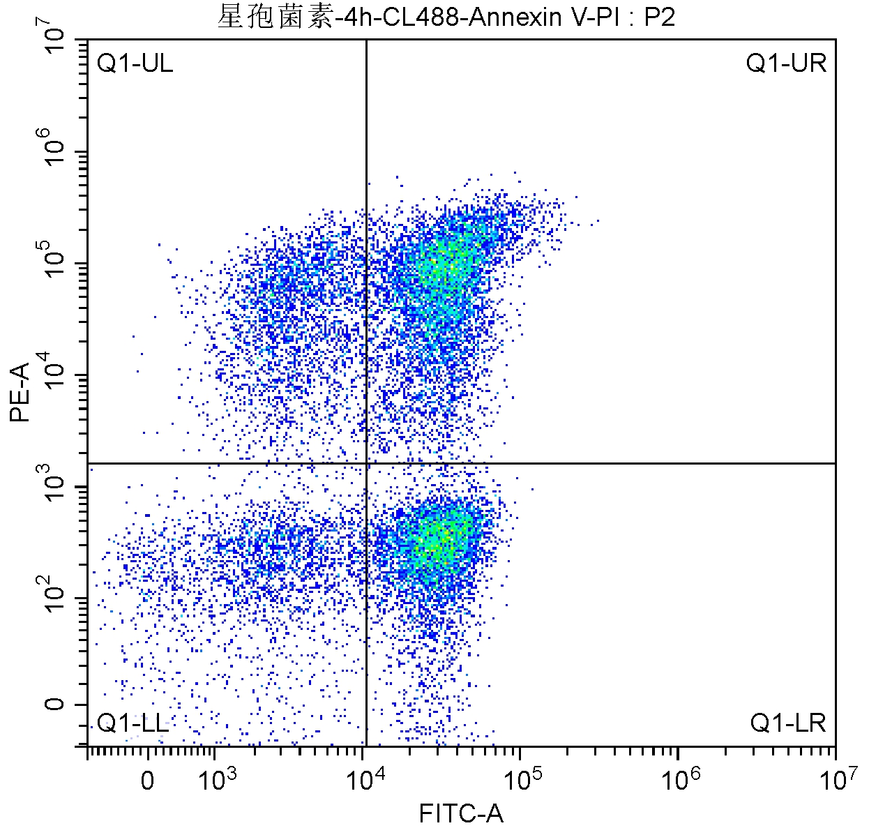 在SSC/FSC图中分析细胞群体:<br>X轴选择FITC-A,用来表示CL488-Annexin V。Y轴选择PE-A用来表示 。<br><br>上图中各个区域的含义：<br>Q1-UL：(CL488-Annexin V)-/PI+，此区域的细胞为坏死细胞。也可能有少数的晚期凋亡细胞在其中，甚至机械损伤的细胞也包含其中。<br>Q1-UR：(CL488-Annexin V)+/PI+，此区域的细胞为晚期凋亡细胞。<br>Q1-LR：(CL488-Annexin V)+/PI-，此区域的细胞为早期凋亡细胞。<br>Q1-LL：(CL488-Annexin V)-/PI-，此区域的细胞为活细胞。<br>通常统计细胞凋亡率时采用Q1-UR+Q1-LR，晚期凋亡＋早期凋亡群（即所有Annexin V阳性群）。