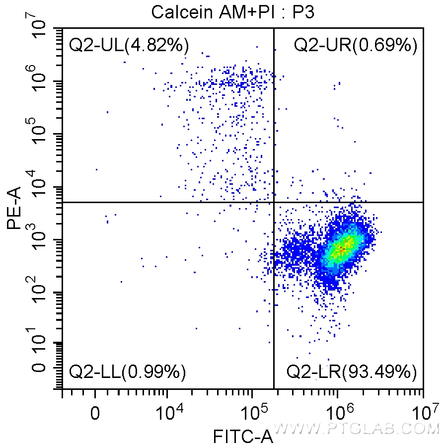 Q2-UL：Cell Group with Calcein AM -, PI + (死细胞）； <br>Q2-LL：Cell Group with Calcein AM-, PI - (细胞碎片）； <br>Q2-LR：Cell Group with Calcein AM +, PI - (活细胞）。