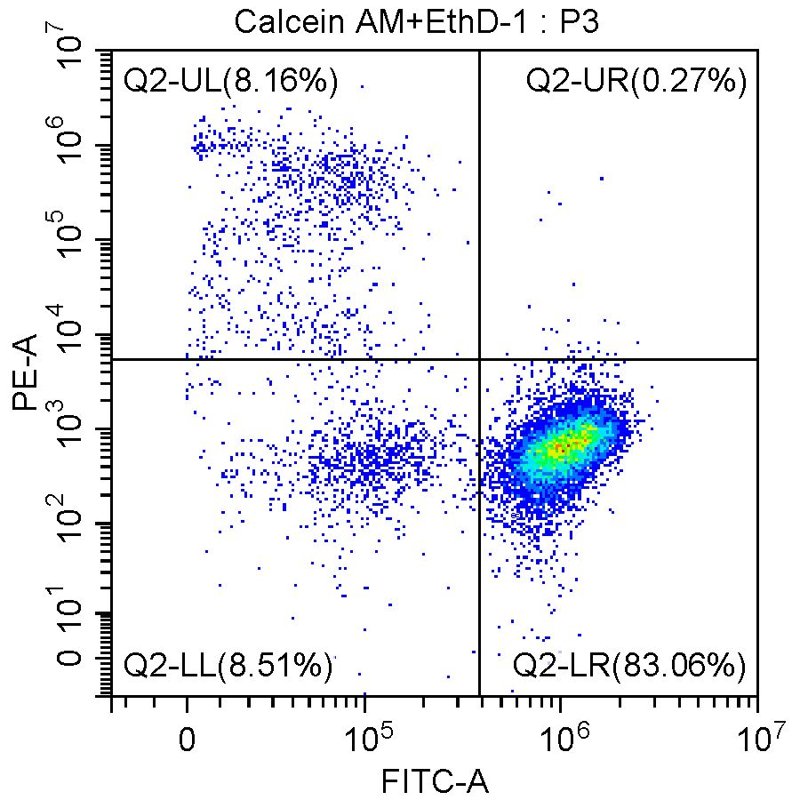 Q2-UL：Cell Group with Calcein AM -, EthD-I + (死细胞）； <br>Q2-LL：Cell Group with Calcein AM-, EthD-I - (细胞碎片）； <br>Q2-LR：Cell Group with Calcein AM +, EthD-I - (活细胞）。