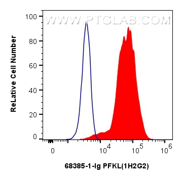 FC experiment of HEK-293 using 68385-1-Ig