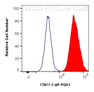 FC experiment of HeLa using 17811-1-AP