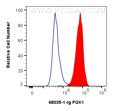 1x10^6 HeLa cells were intracellularly stained with 0.25 ug PGK1 Monoclonal antibody (68035-1-Ig, Clone:1B2F3) and CoraLite®488-Conjugated Goat Anti-Mouse IgG(H+L) (<a class='green' href='/productredirect?CatalogNo=SA00013-1' target='_blank'>SA00013-1</a>)(red), or 0.25 ug Mouse IgG1 isotype control Mouse McAb (<a class='green' href='/productredirect?CatalogNo=66360-1-Ig' target='_blank'>66360-1-Ig</a>, Clone: 1F8D3) (blue). Cells were fixed and permeabilized with Intracellular Flow Cytometry Fixation & Permeabilization Buffer Kit (<a class='green' href='/productredirect?CatalogNo=PF00019' target='_blank'>PF00019</a>). FC experiment of HeLa using 68035-1-Ig