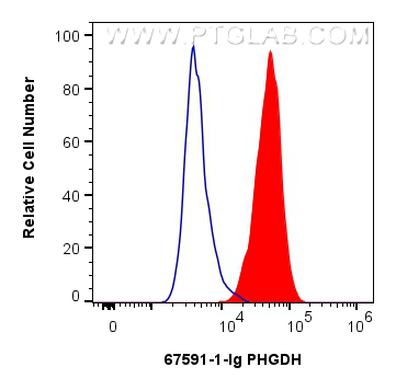 FC experiment of HeLa using 67591-1-Ig