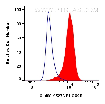 FC experiment of Neuro-2a using CL488-25276