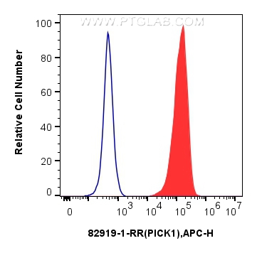 FC experiment of HEK-293T using 82919-1-RR