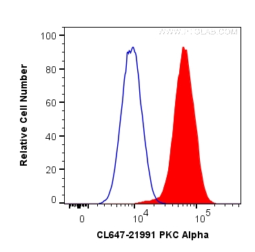 PKC Alpha