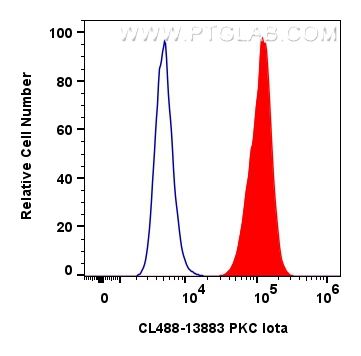 FC experiment of HeLa using CL488-13883