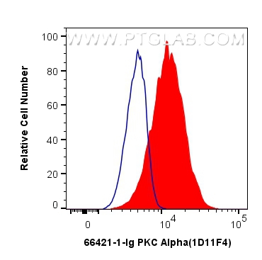 FC experiment of HeLa using 66421-1-Ig (same clone as 66421-1-PBS)