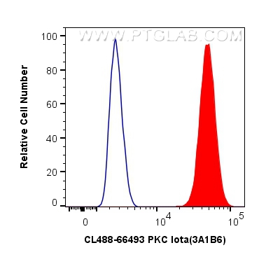 FC experiment of HeLa using CL488-66493