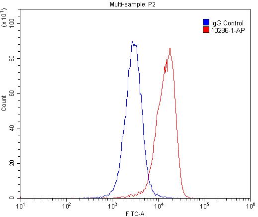 FC experiment of U-937 using 10286-1-AP